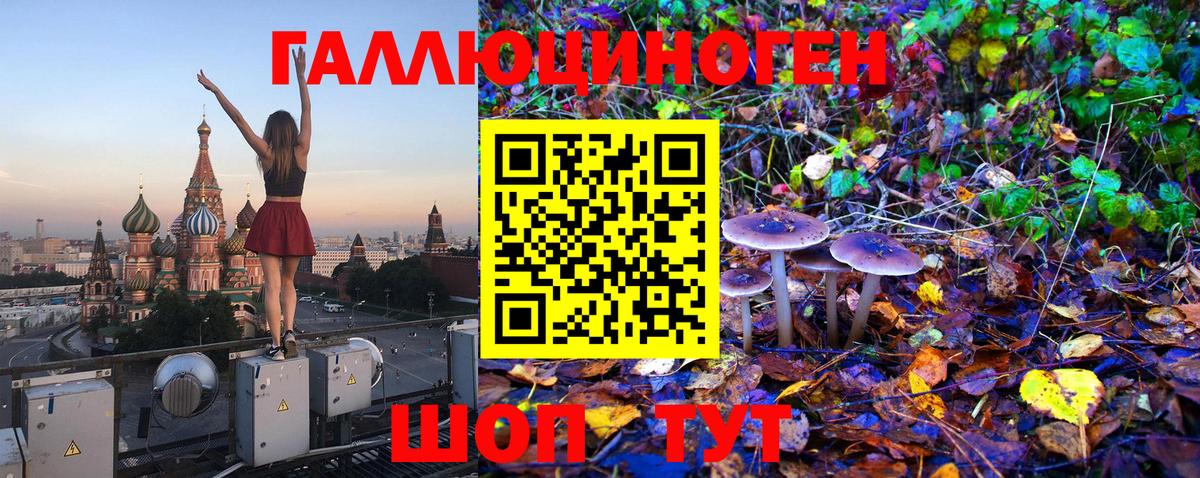 Псилоцибиновые грибы Cubensis Орск
